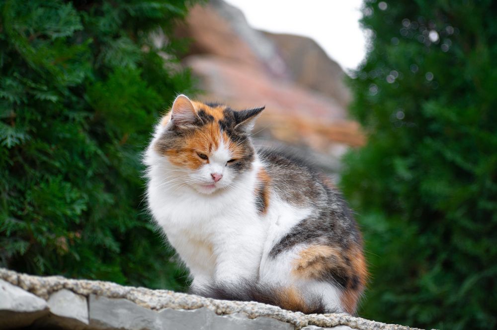 На рыбной ферме