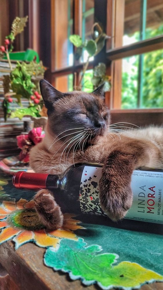 Photograph by nileydi colmenarez