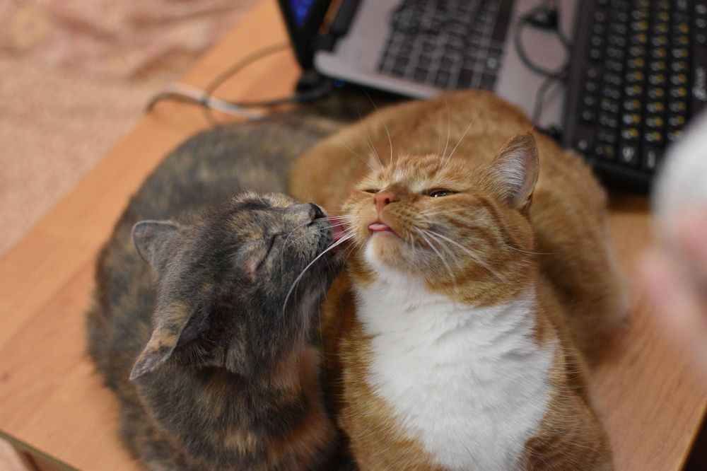 Photograph by Натали Тульская