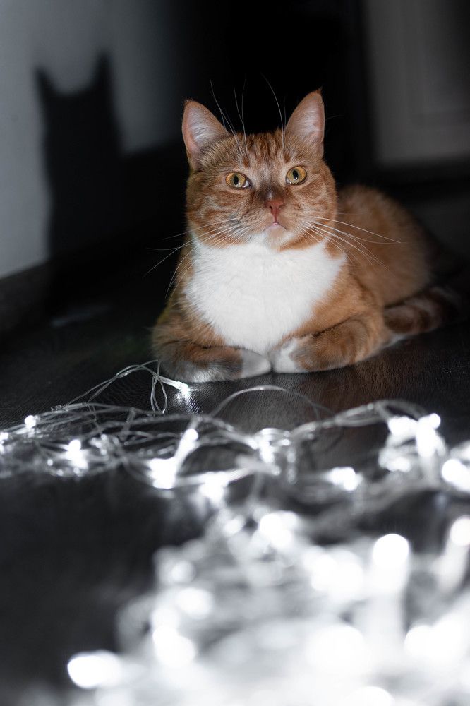 Photograph by Натали Тульская