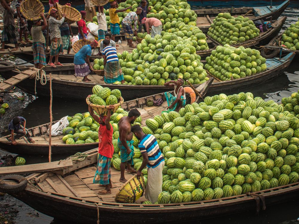 Photograph by Tanvir Ahmed Bhuiyan