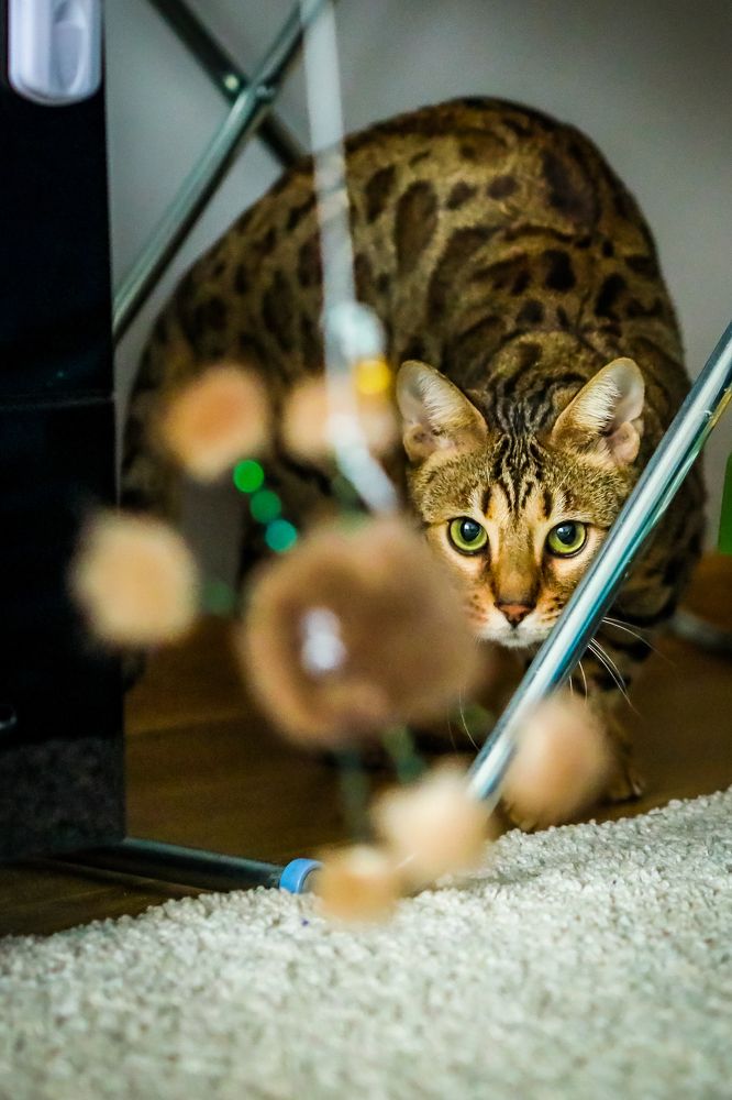 Photograph by Светлана Солдатченкова