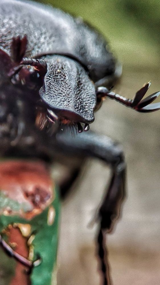 Photograph by nileydi colmenarez