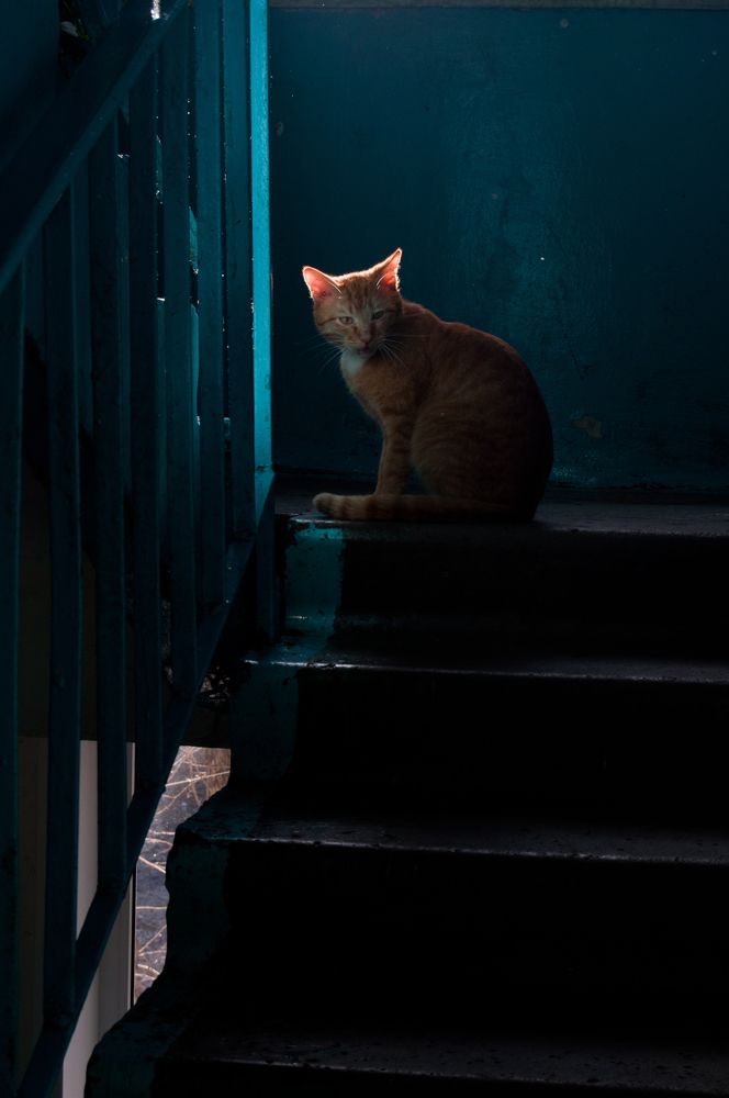 Photograph by Новиков Владимир