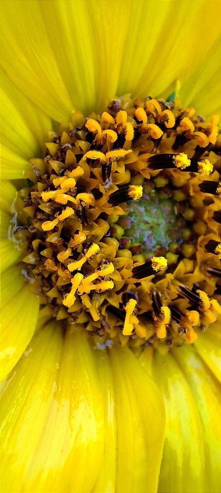 Photograph by Ирина Данилова