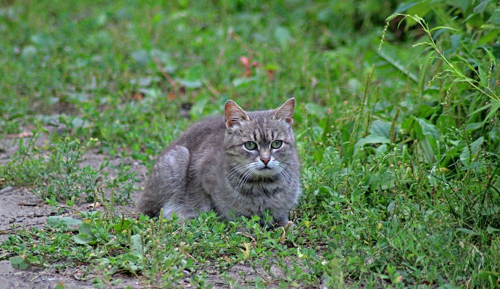 Photograph by Игорь Носков (Домненко)