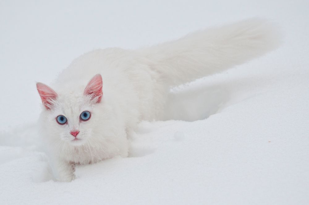 Photograph by Новиков Владимир