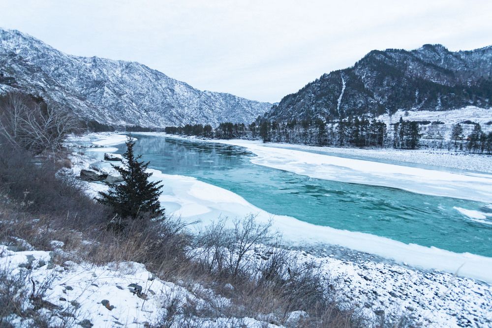 Photograph by ИРЕНА Федорова