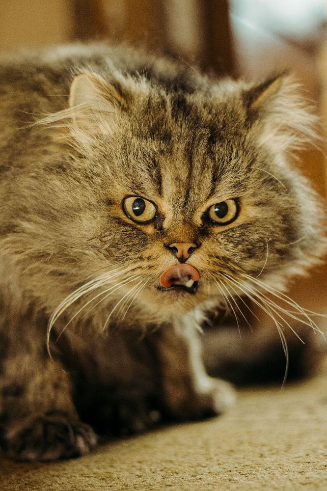 Photograph by Елисавета Бойко