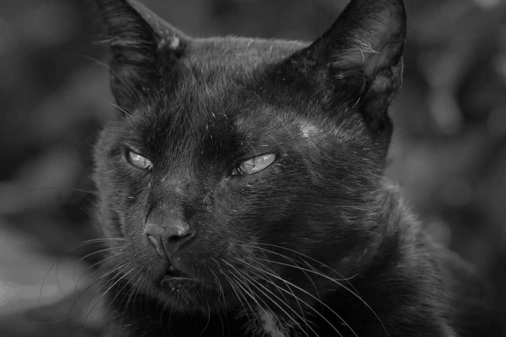 Фотография автора Sergey Sokolovsky