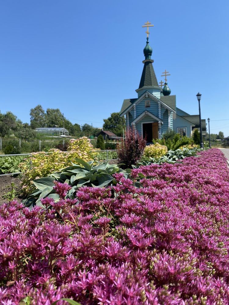 Photograph by Дарья Михайловна