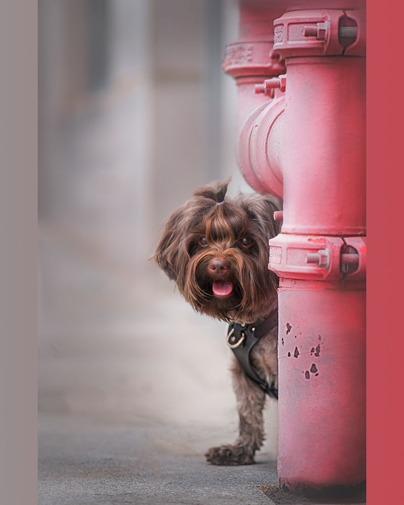 Фотография автора Eugenia Tuzova