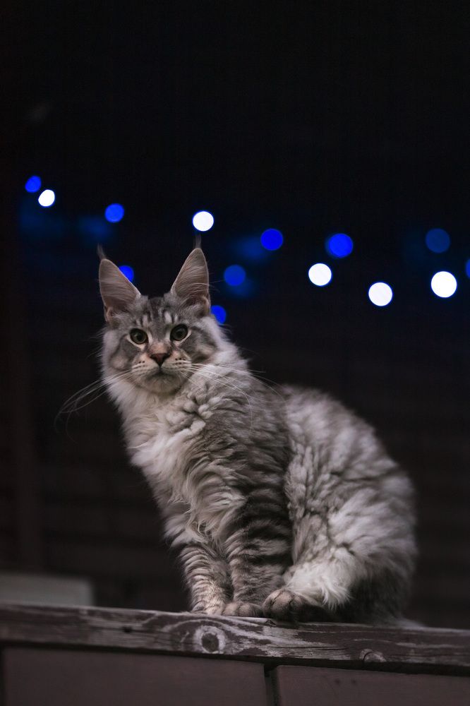 Photograph by ИРЕНА Федорова