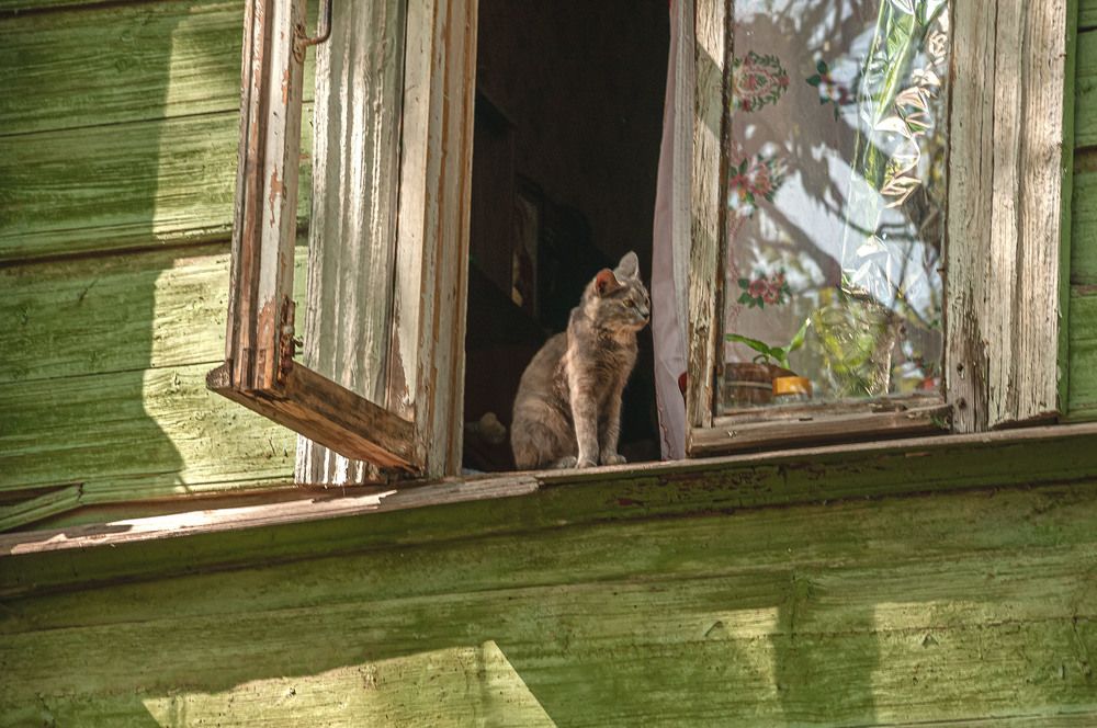 Photograph by Vladimir  Komarov
