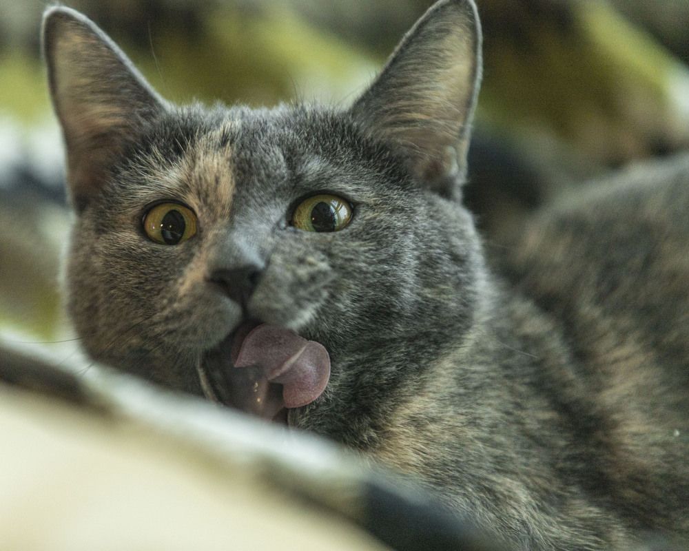 Photograph by ИРЕНА Федорова