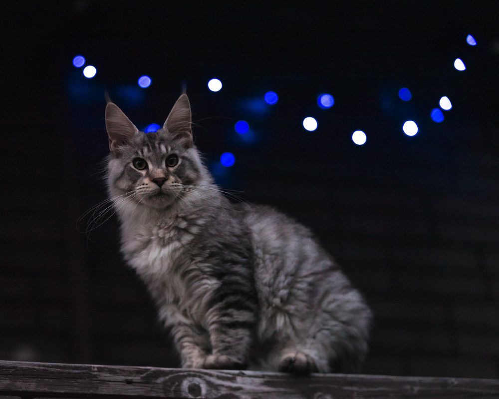 Photograph by ИРЕНА Федорова