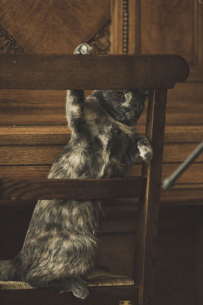 Photograph by ИРЕНА Федорова