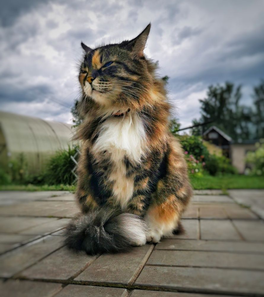 Photograph by Елена Артёменко