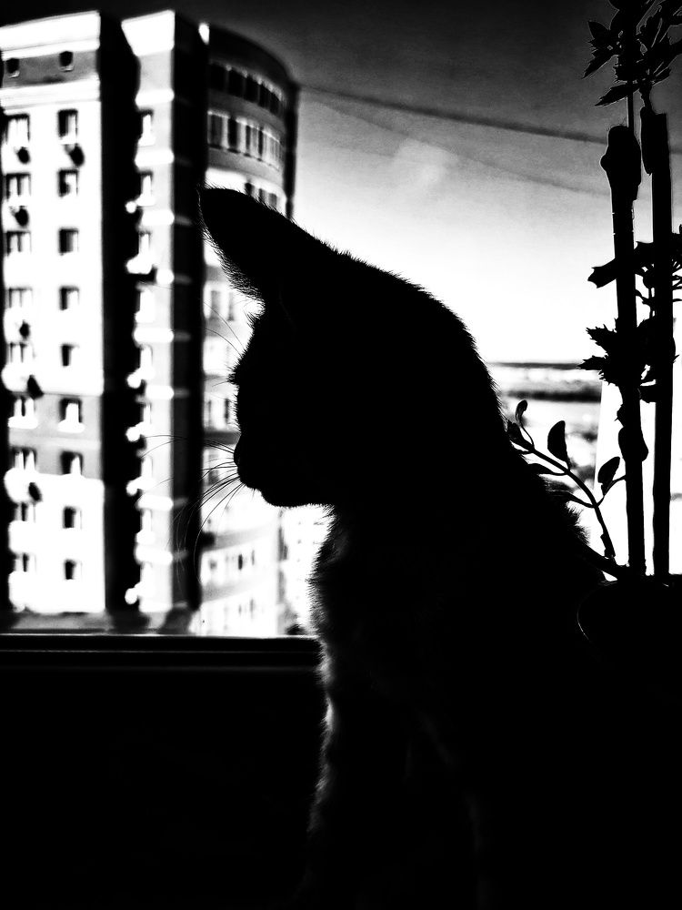Photograph by Елена Артёменко
