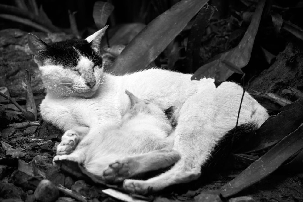 Photograph by Fernando izaguirre