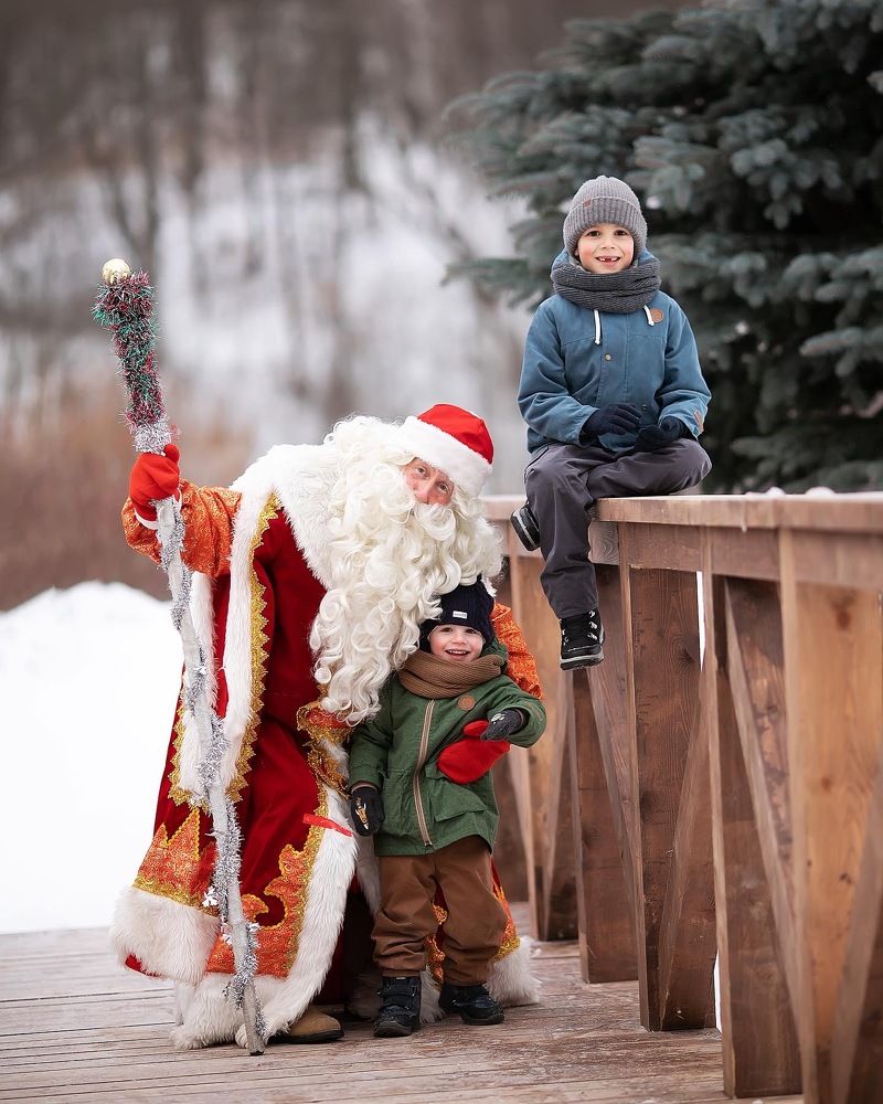 Фотография автора Анна Крутицкая