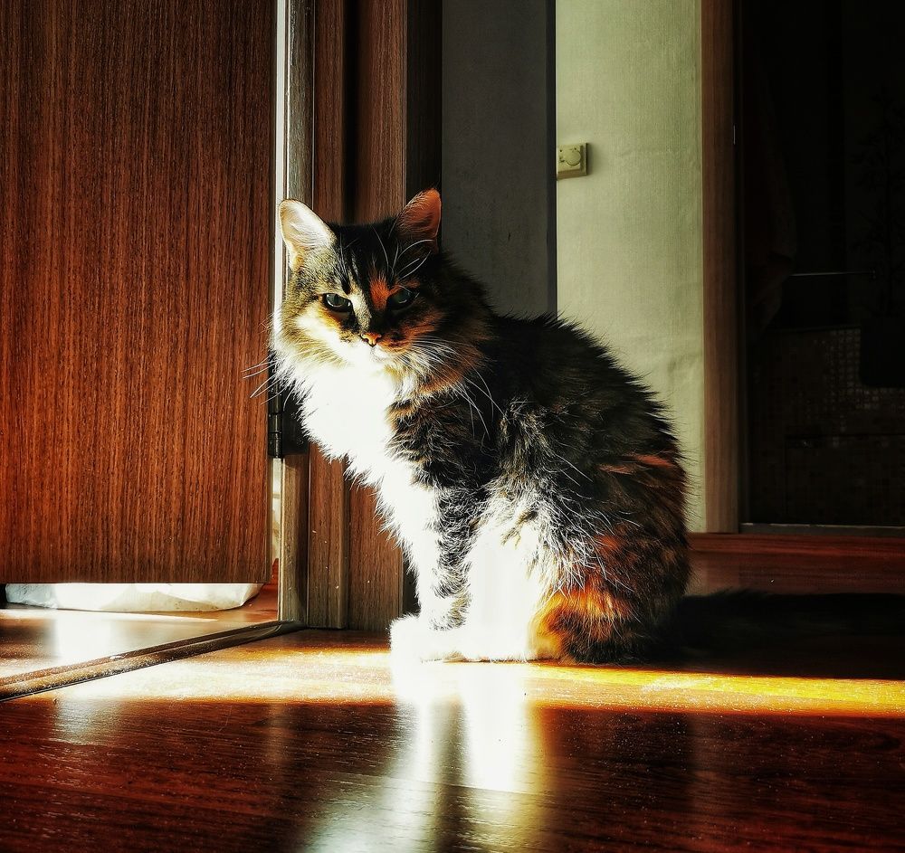 Photograph by Елена Артёменко