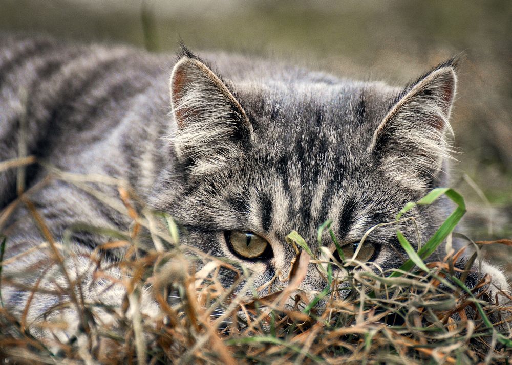 Photograph by Артем Кириллов