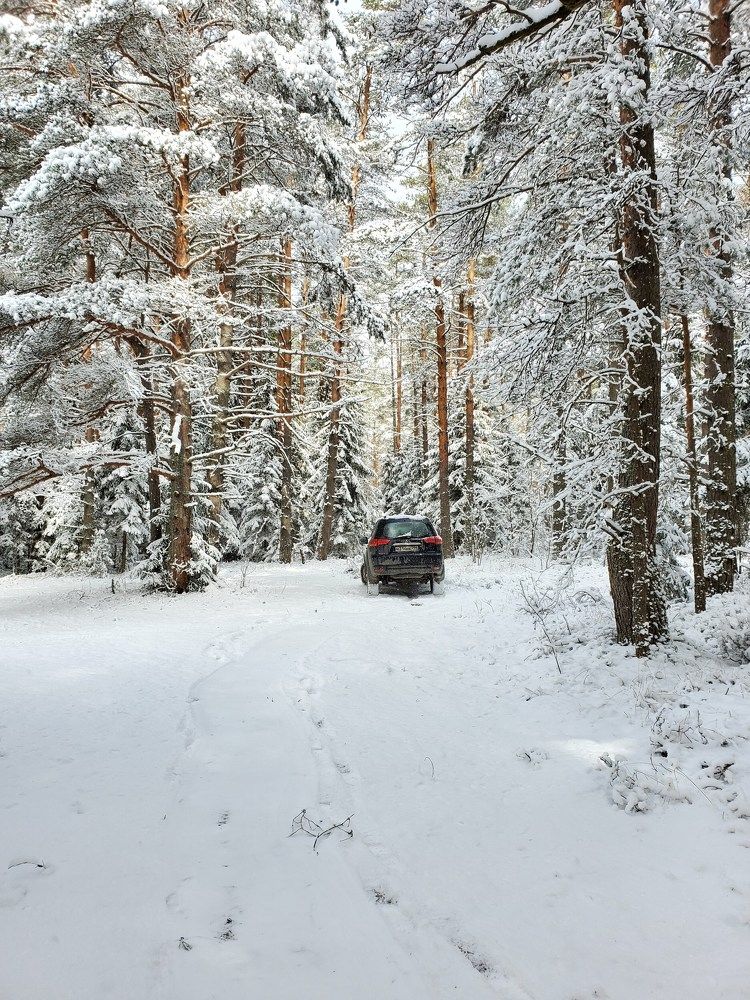 Photo #8642742