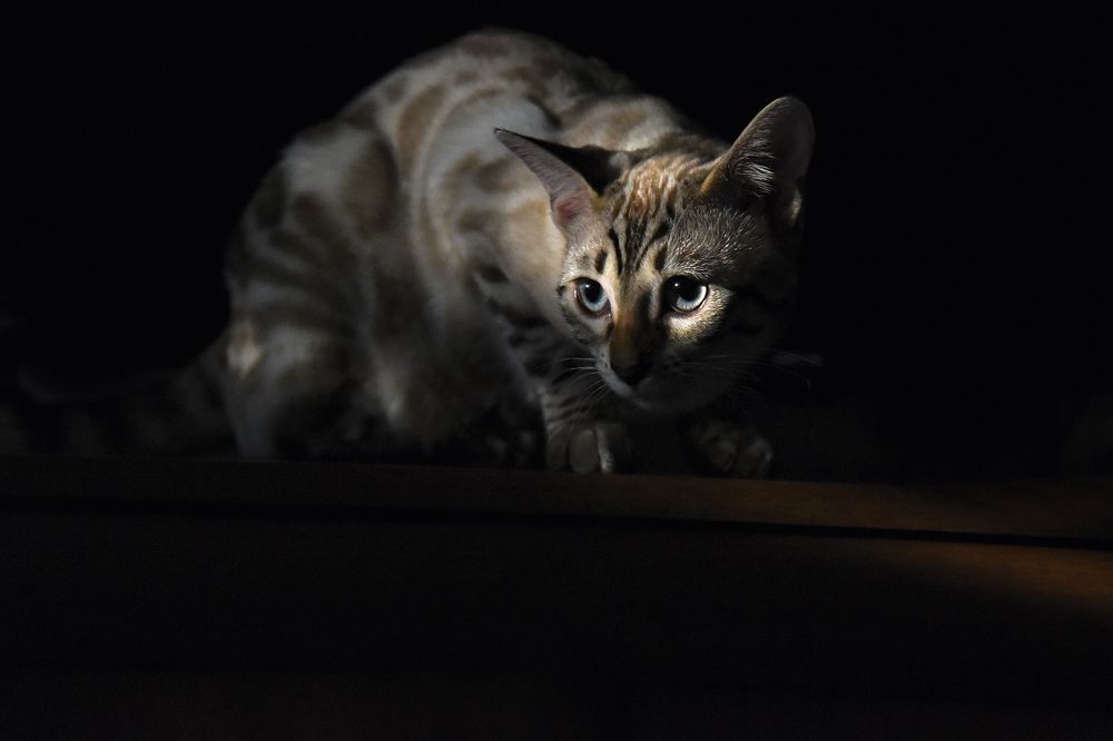 Photograph by Эдуард Голиков