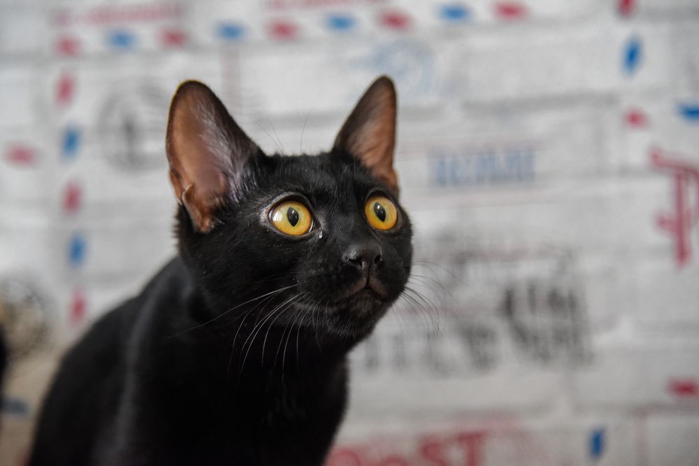 Photograph by Эдуард Голиков