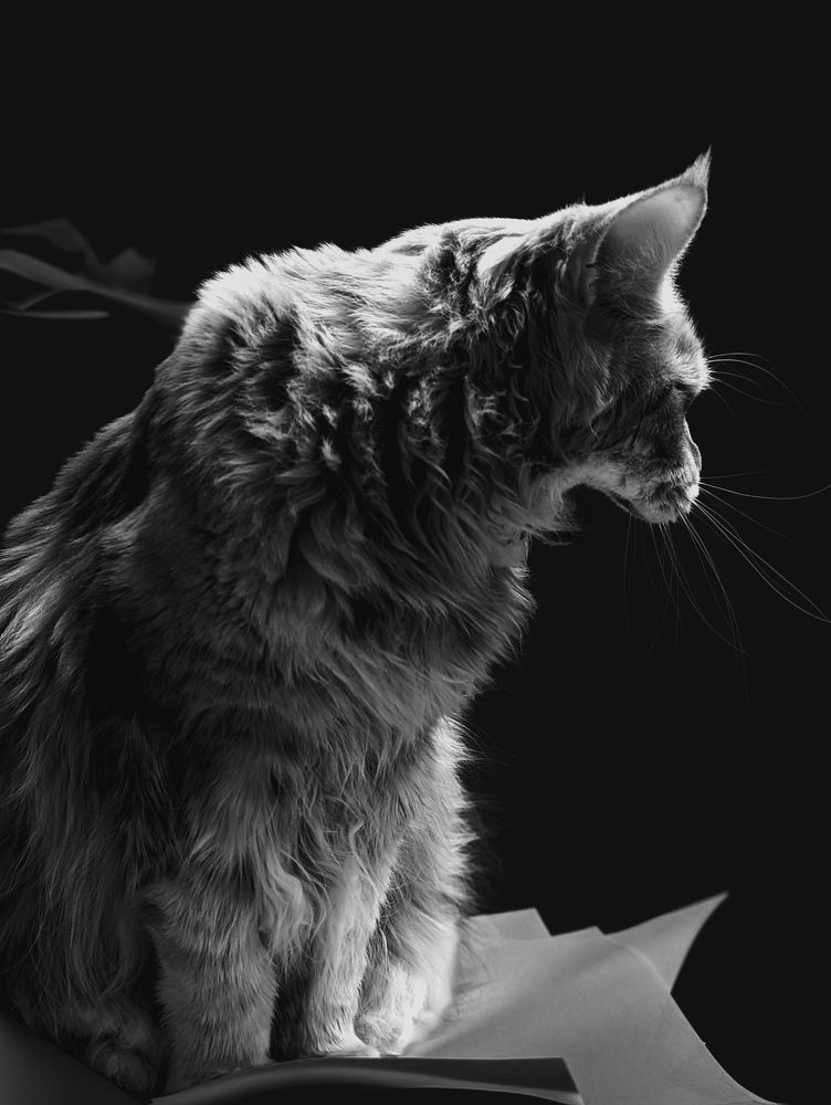 Photograph by Эрик Зибров