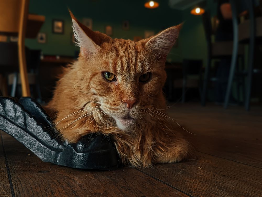 Photograph by Эрик Зибров