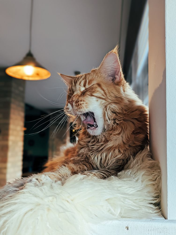 Photograph by Эрик Зибров