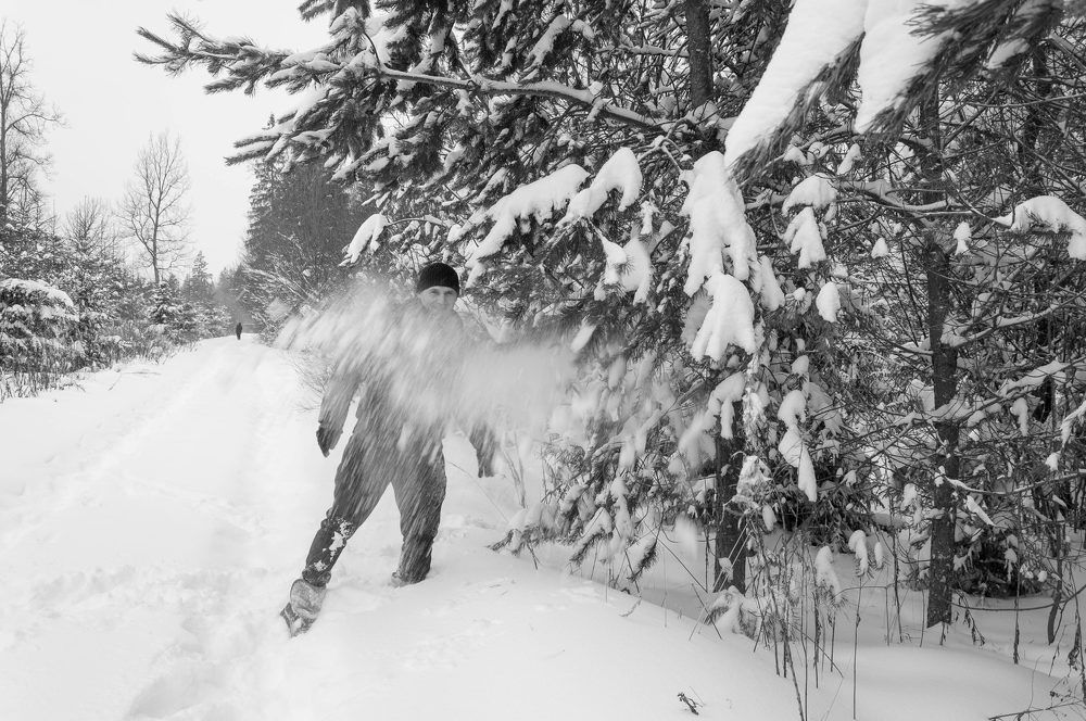 Фотография автора Виталий Дузь