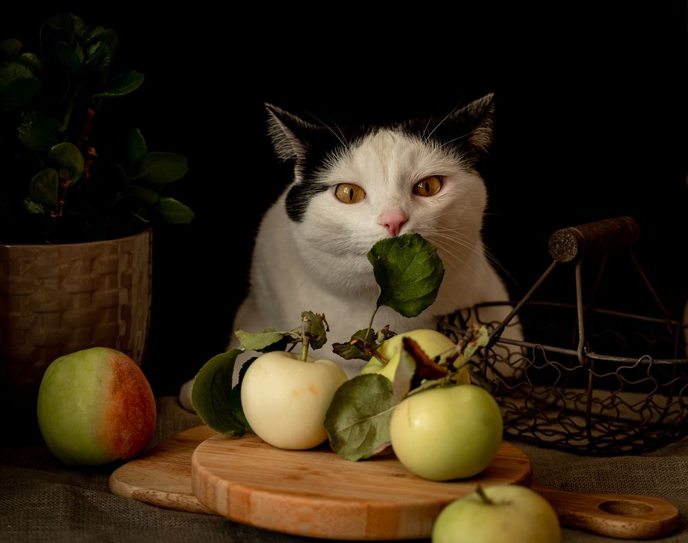 Photograph by Татьяна Бегун