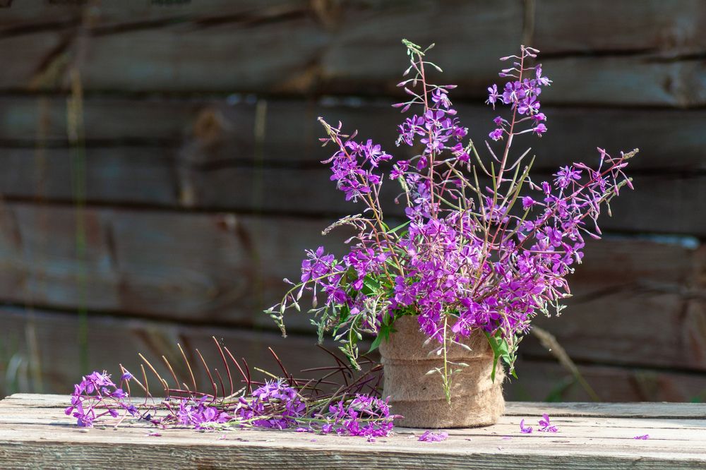 Photograph by Денис Кичев