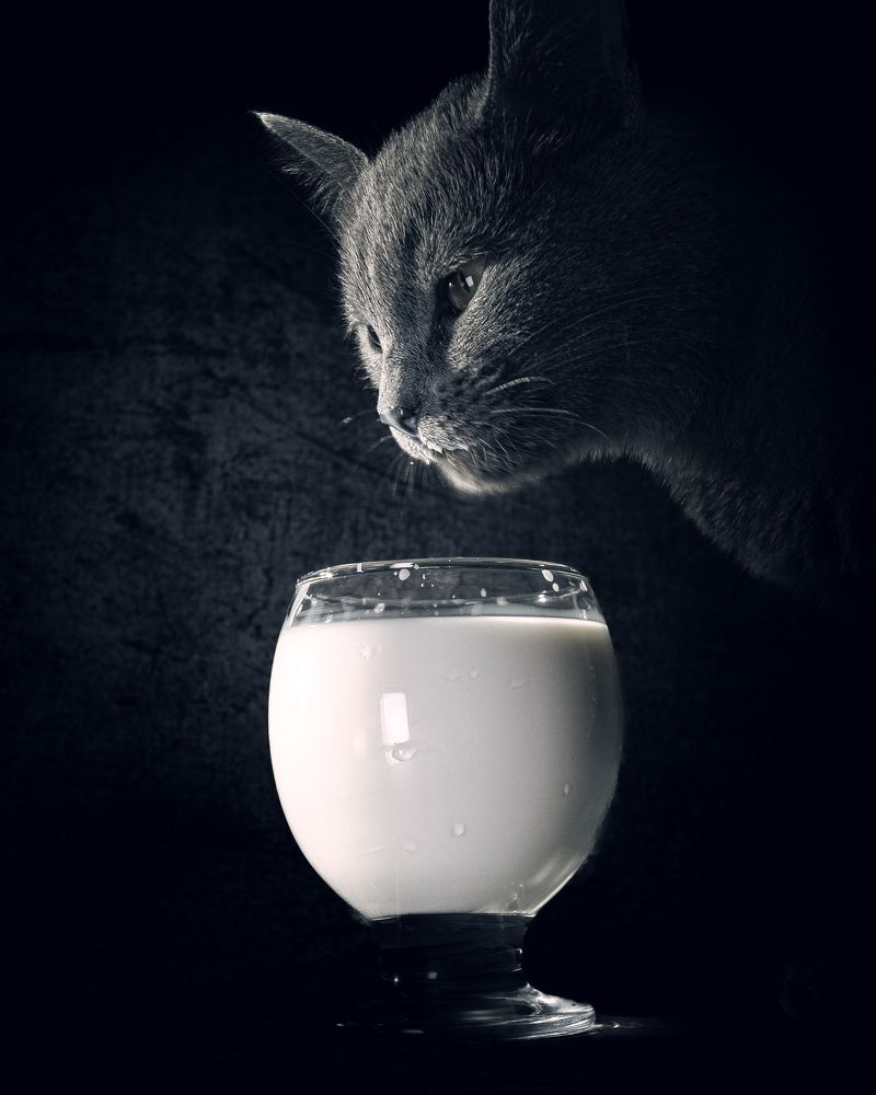 Photograph by Татьяна Гринько