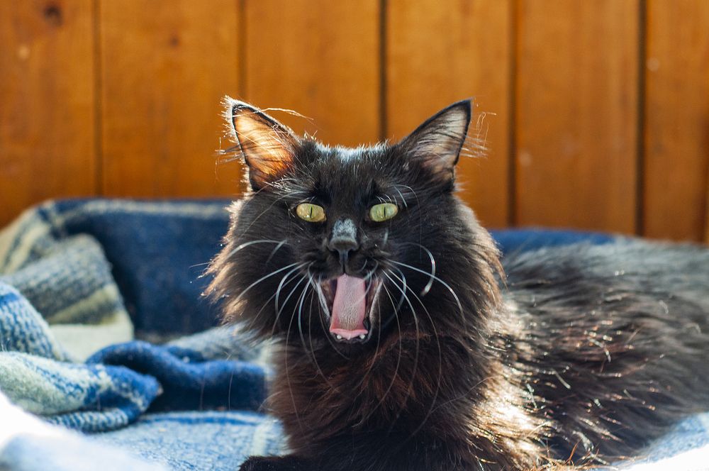 Photograph by Юрий Байковский