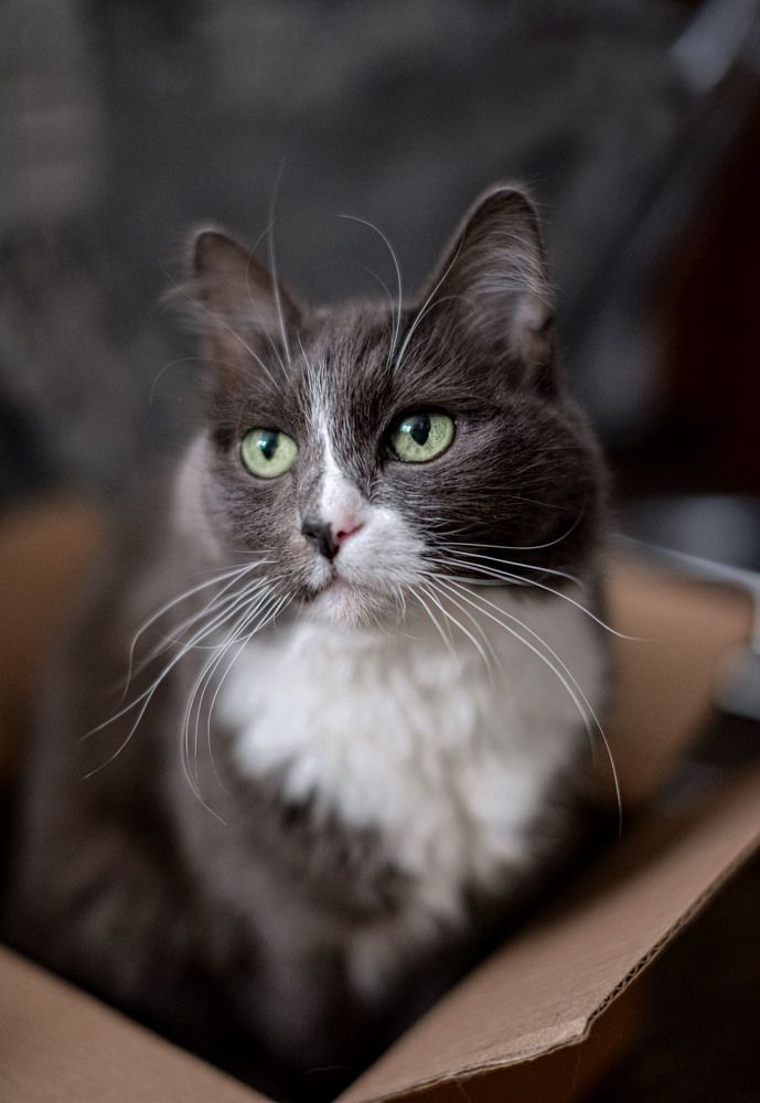 Photograph by Елена Чекменева