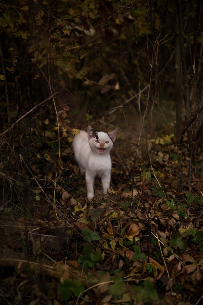 Photograph by Анна Изюмская