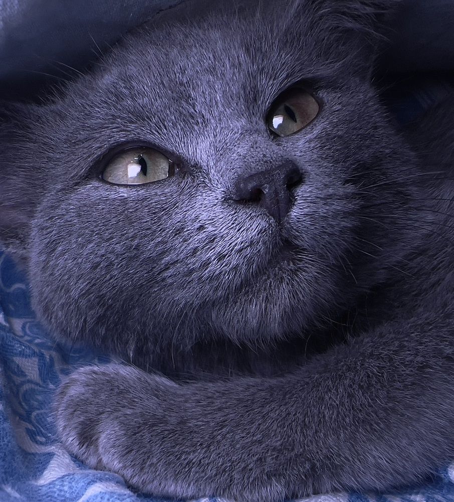 Photograph by Татьяна Гринько