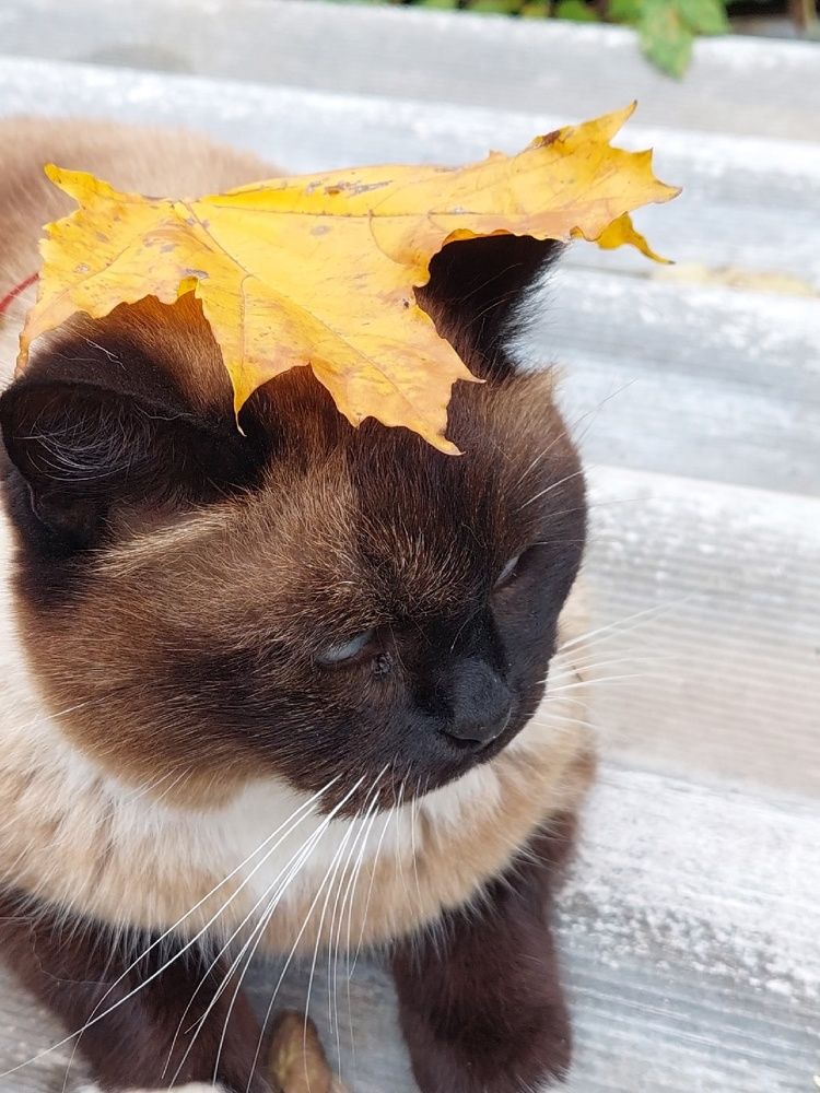 Photograph by Валентина Назина