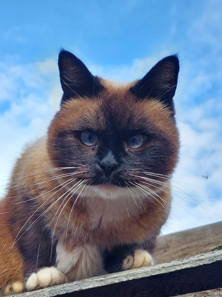 Photograph by Валентина Назина