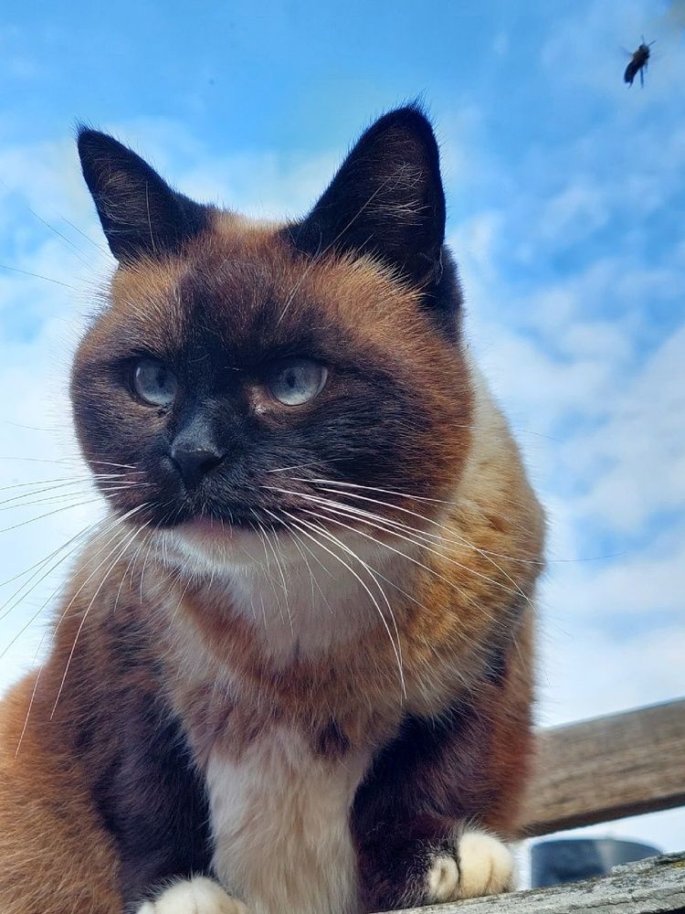 Photograph by Валентина Назина