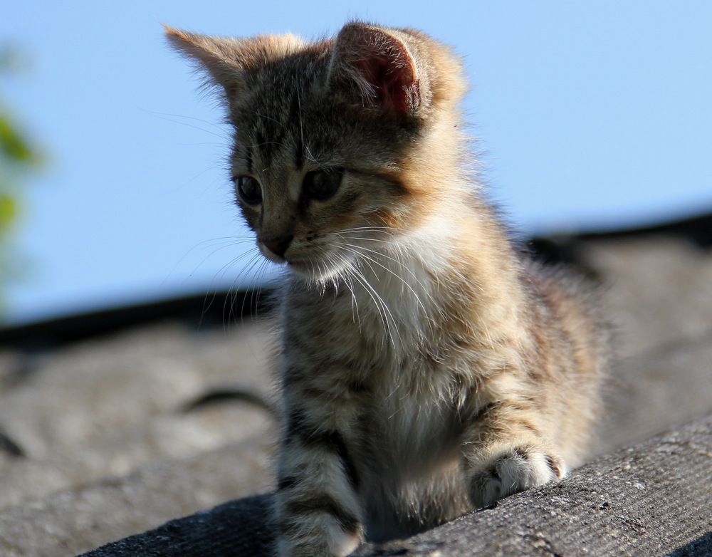 Photograph by Анна-Лаймуте Милошевич