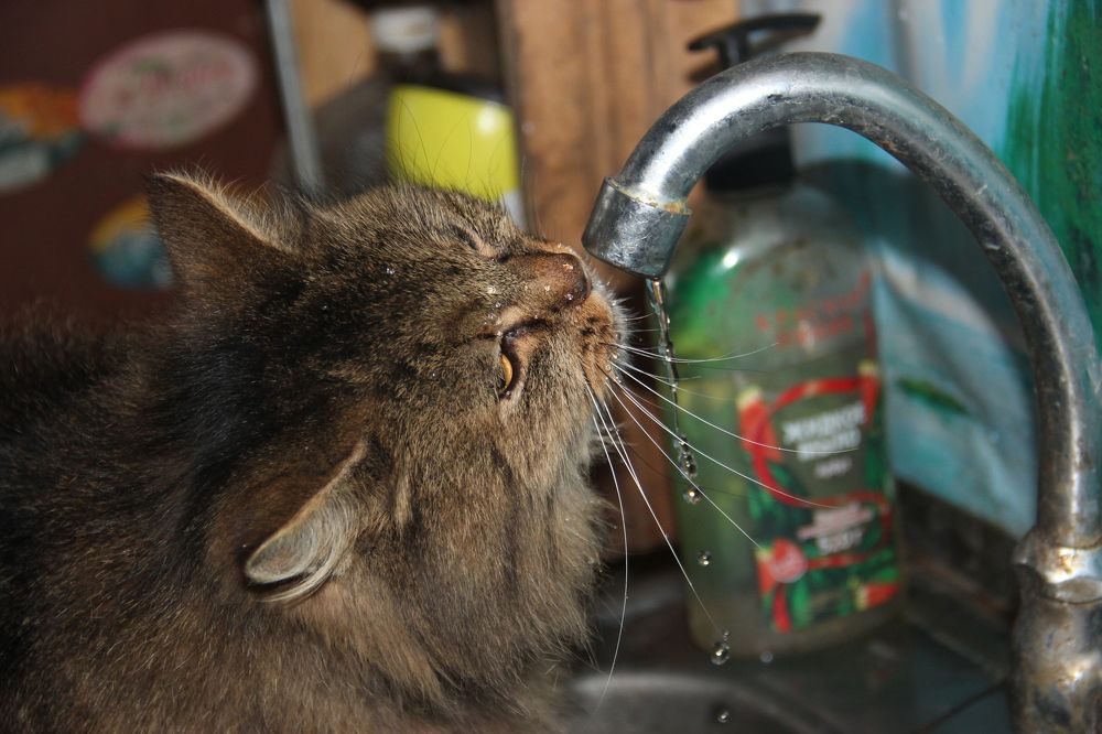 Photograph by Анна-Лаймуте Милошевич