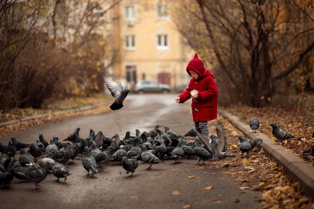 Photograph by Алла Аюпова