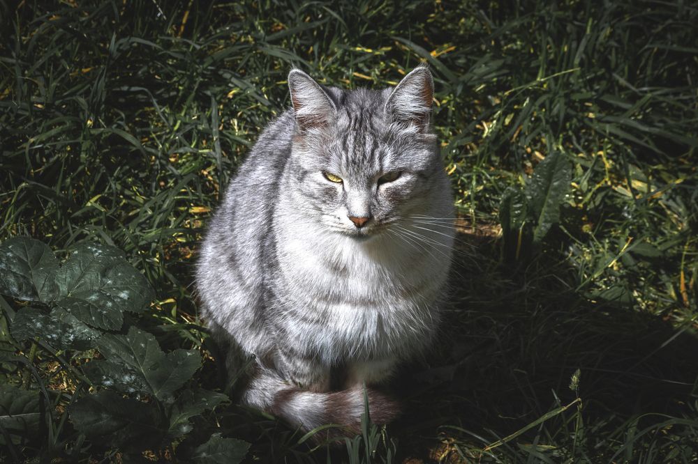 Photograph by Виктория Браун