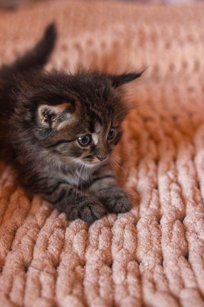 Photograph by Эльвира Халимулина