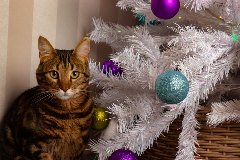 Photograph by Эльвира Халимулина